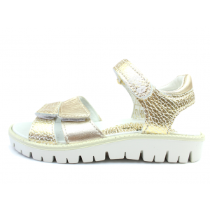 Primigi 76132/00 gold